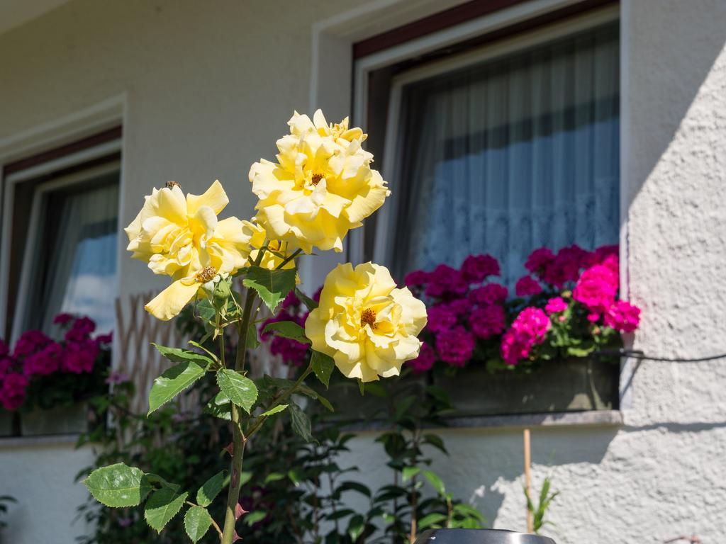 Guesthouse Pension Grafenstein Merano Exterior photo