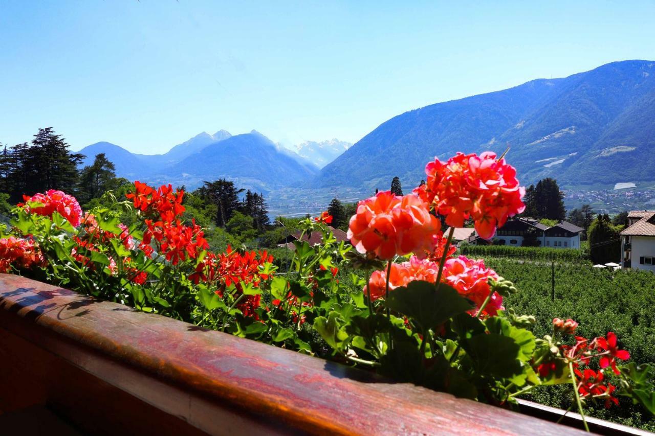 Guesthouse Pension Grafenstein Merano Exterior photo